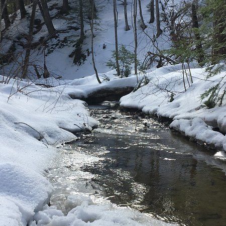 Hedgehog Mountain Trail